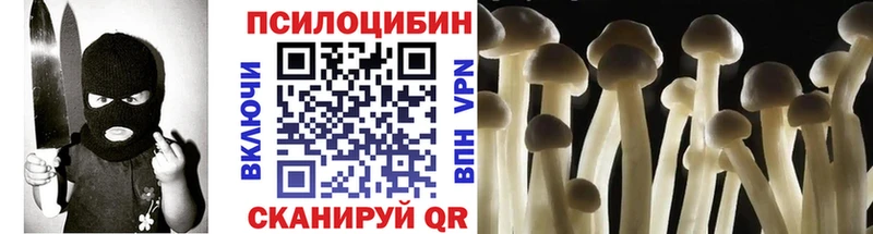 закладки Чухлома Псилоцибиновые грибы Psilocybine cubensis