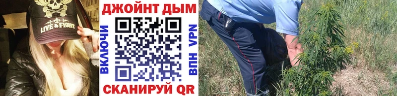 Бошки Шишки планчик  закладки  Чухлома 
